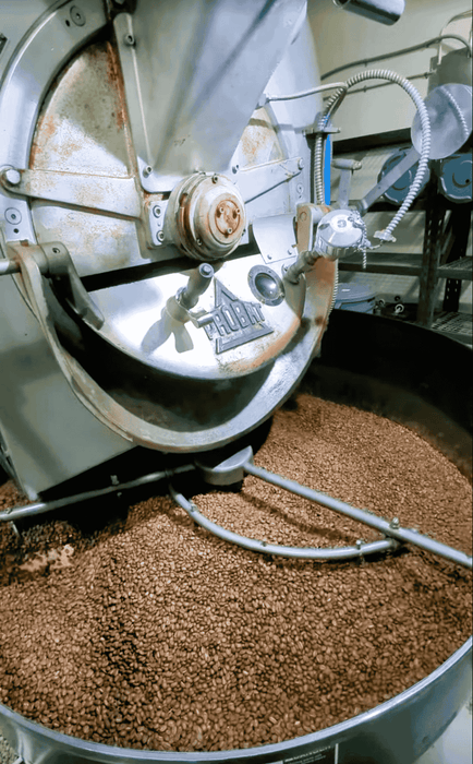 25 Kg - Probat L-25 Roaster - 2006 - Good Condition - Used (Crating Included)