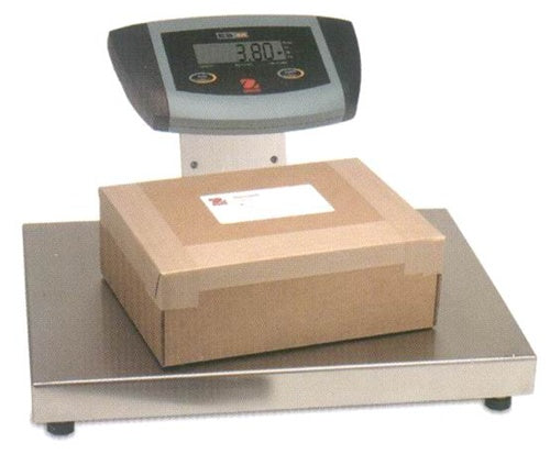 Economical Bench Scales