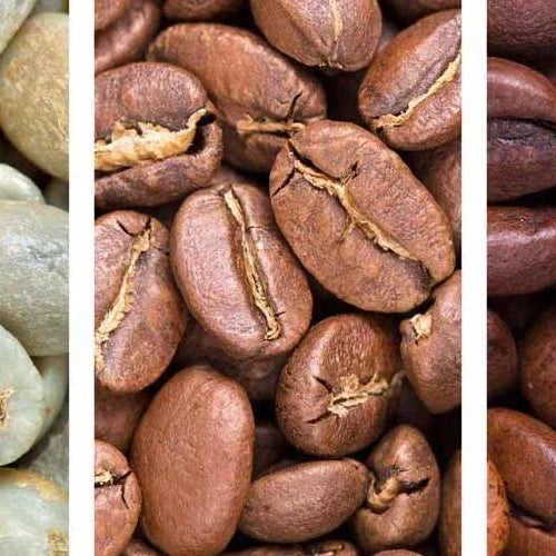 Do I Need a Destoner For My Coffee Roaster?
