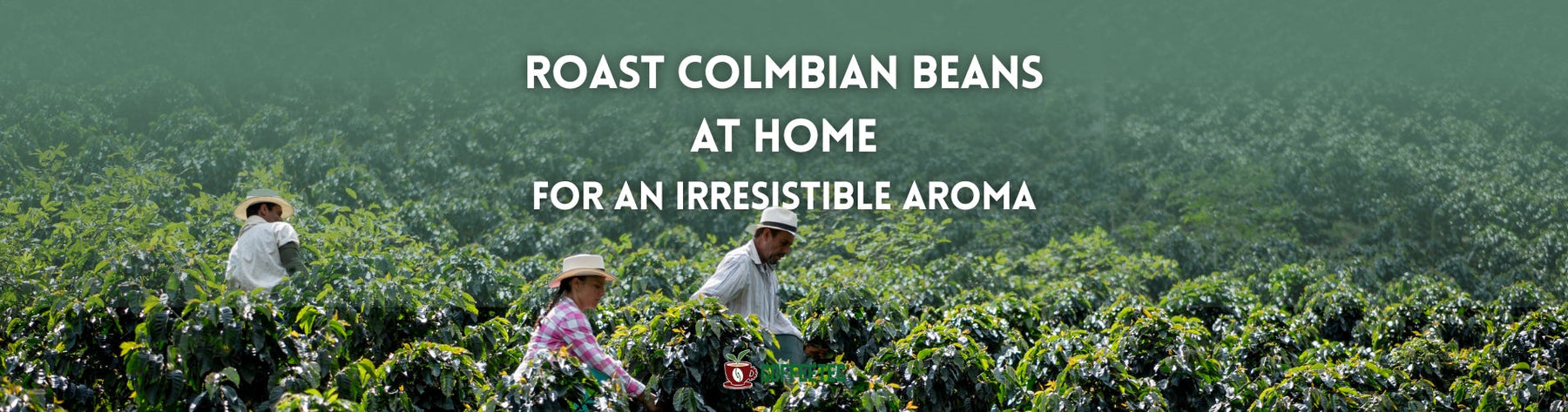 Roast Colmbian Beans at Home for an Irresistible Aroma