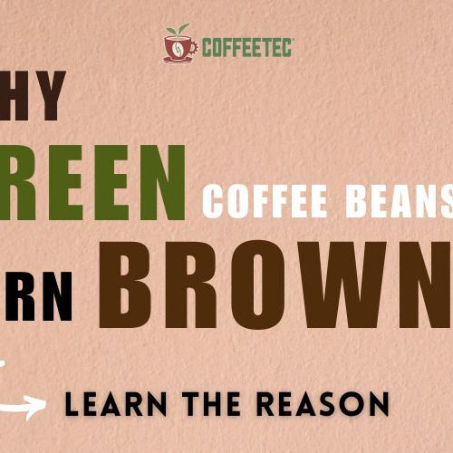 why green coffee beans turn brown