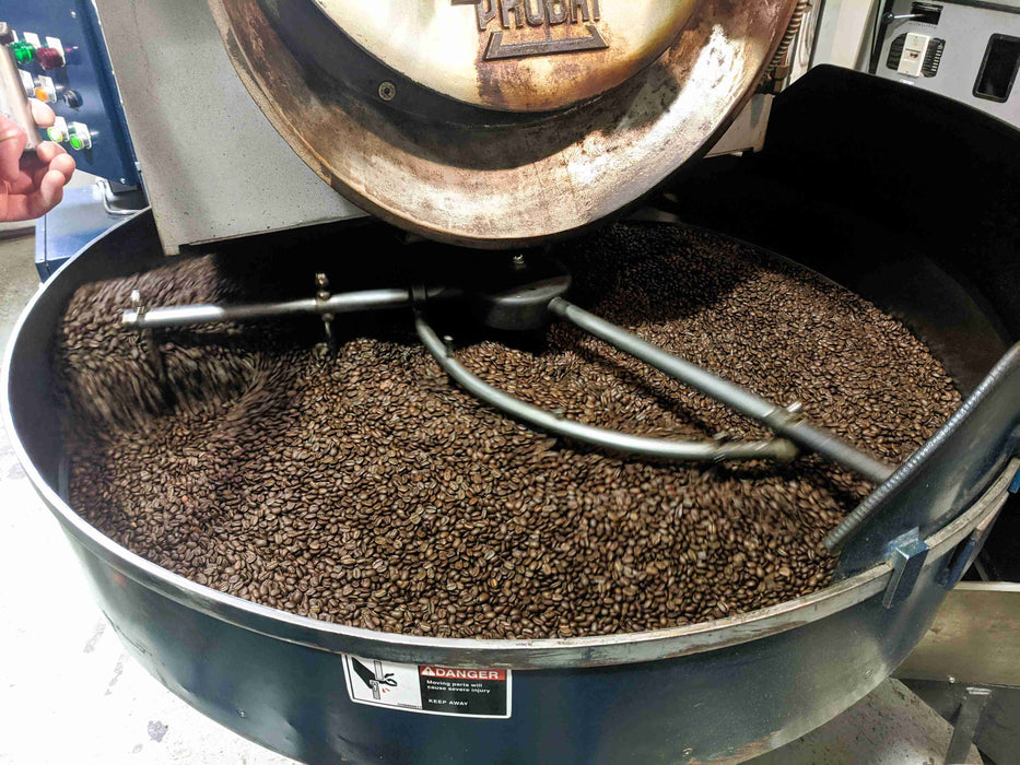 25 Kg - Probat L-25 Roaster - 2006 - Good Condition - Used (Crating Included)