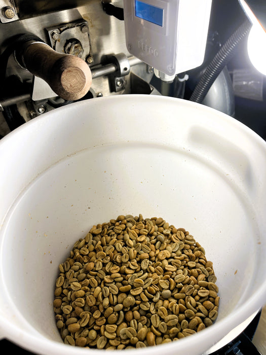1 kg - Mill City MCR-1 Roaster - 2022 Model - Very Good Condition - Used