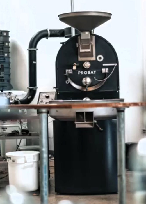 12 kg - Probat P12 - 2013 - Excellent Condition - Used (Crating Included)