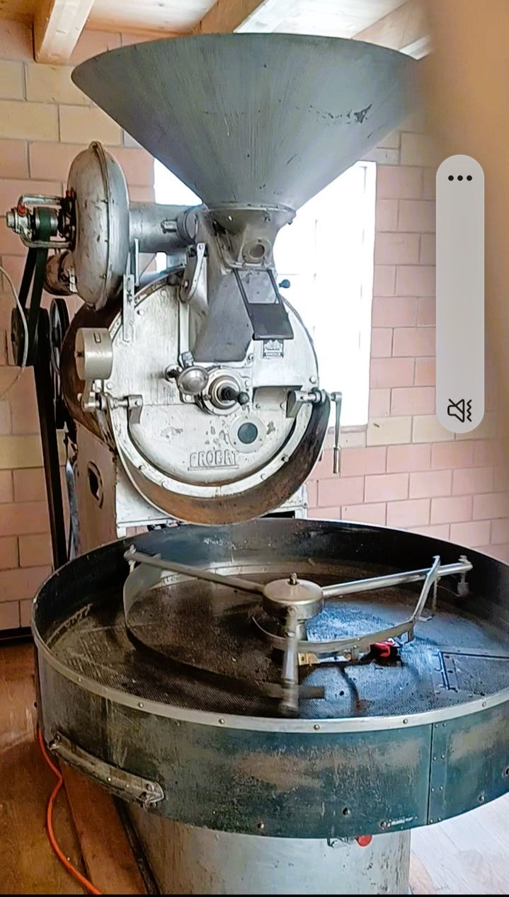 Used Probat ug22 roaster - German-Built With Swiss Cyclone — CoffeeTec