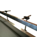 Sealer Sales Motorized Conveyor Conveyor Width View 6