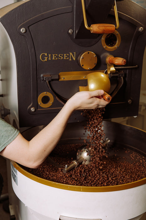 kilo Giesen W6A 2018 Model Used — CoffeeTec